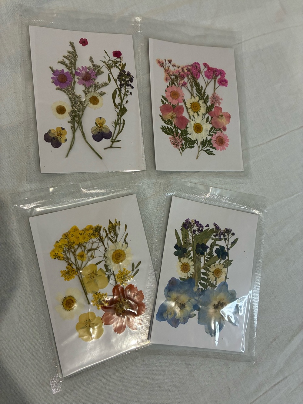 Dried pressed flowers 
For art or for making jewelry
